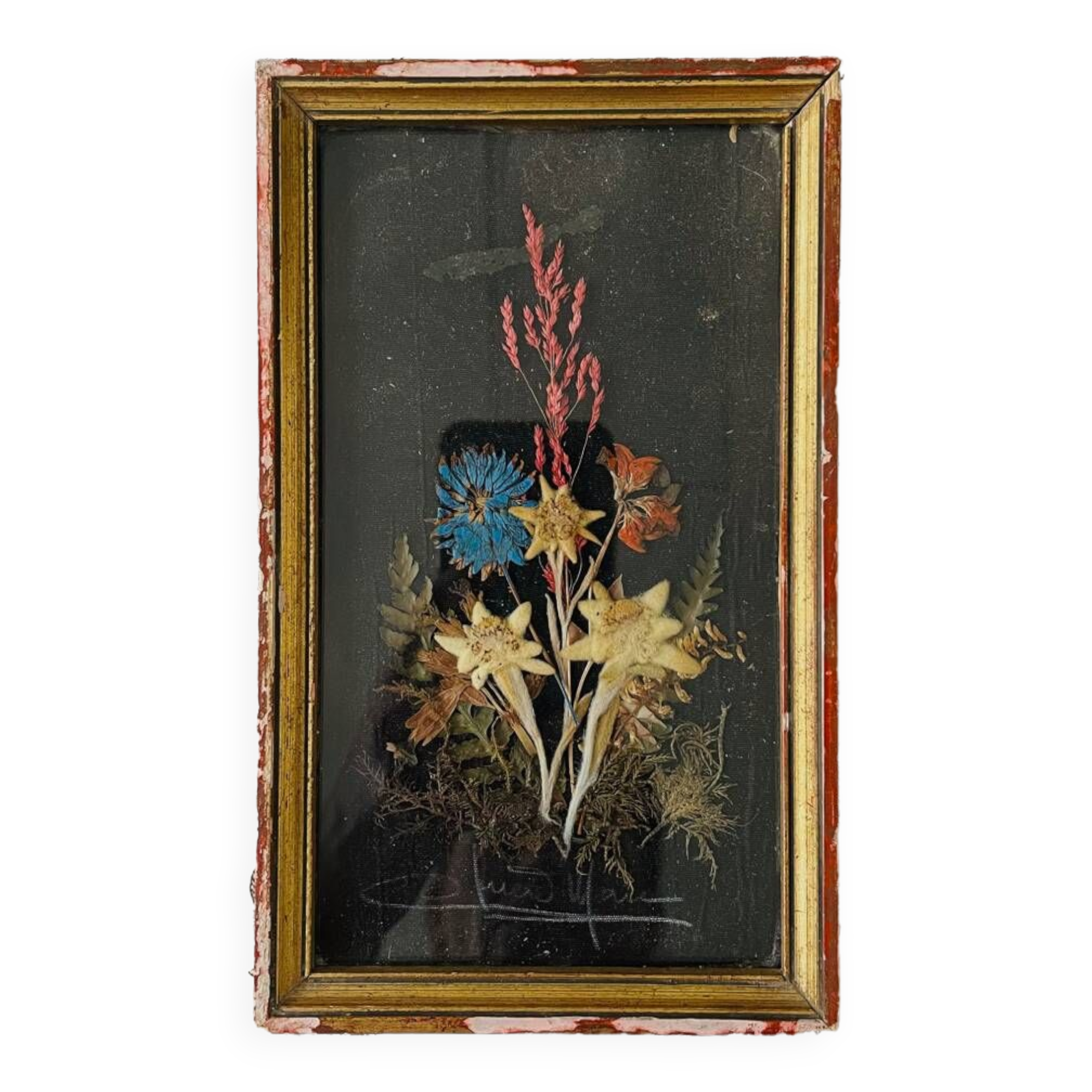 Vintage dried flowers frame