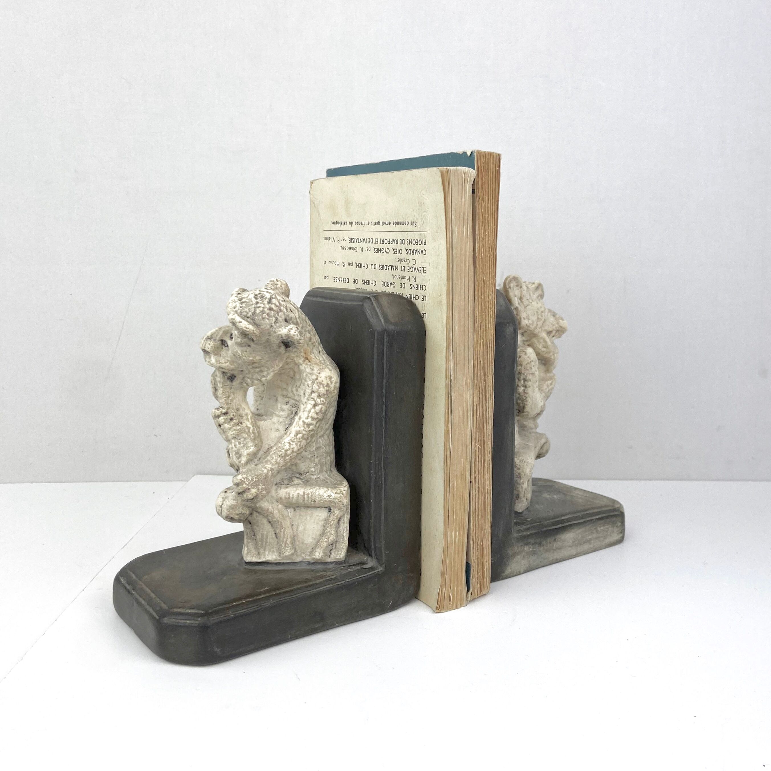 Pair of greenhouse book - Gothic theme gargoyle Middle Ages Chimera