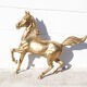 Xl brass horse