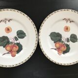 Lot of 6 plates botanical decoration