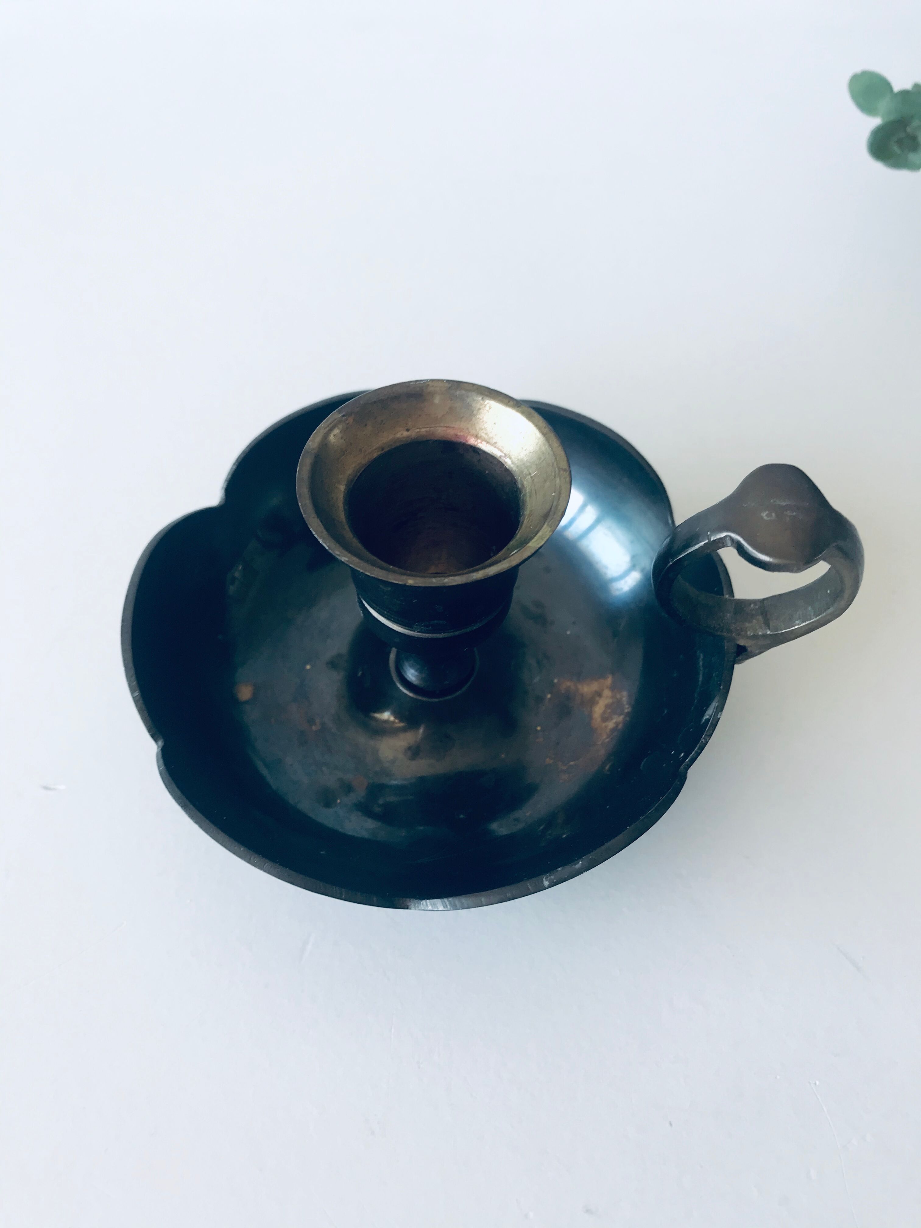 Corolla bougeoir of flowers