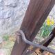 Small vintage stepladder
