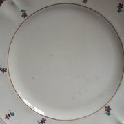 2 plats anciens Digoin et Sarreguemines 