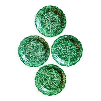 4 flat plates in cabbage leaf slip
