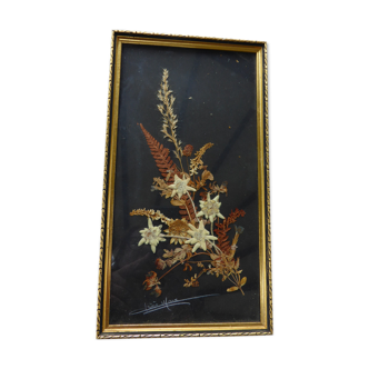 Edelweiss dried framed vintage 1970s