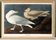 Poster about the Great Gull, based on an old engraving from 1827.