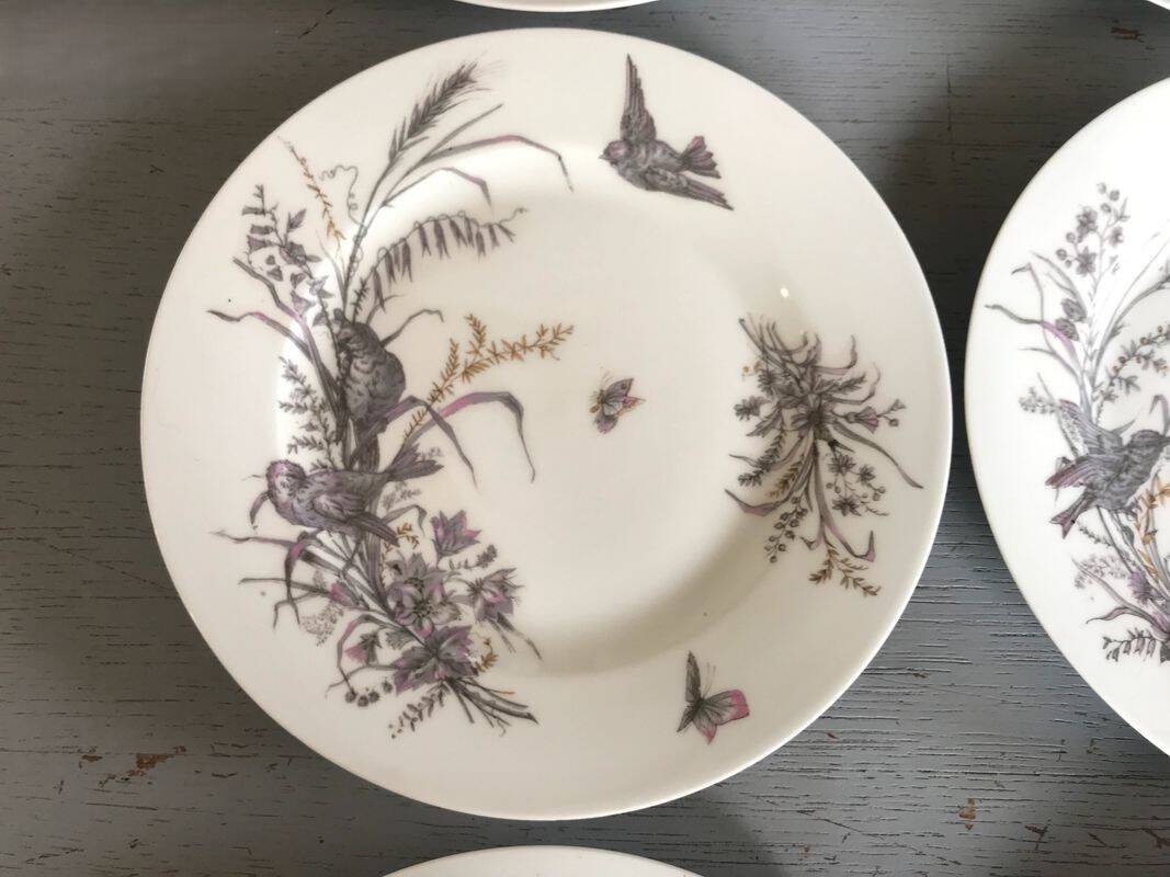 6 porcelain dessert plates with gold medals, exp 1867 1978, birds