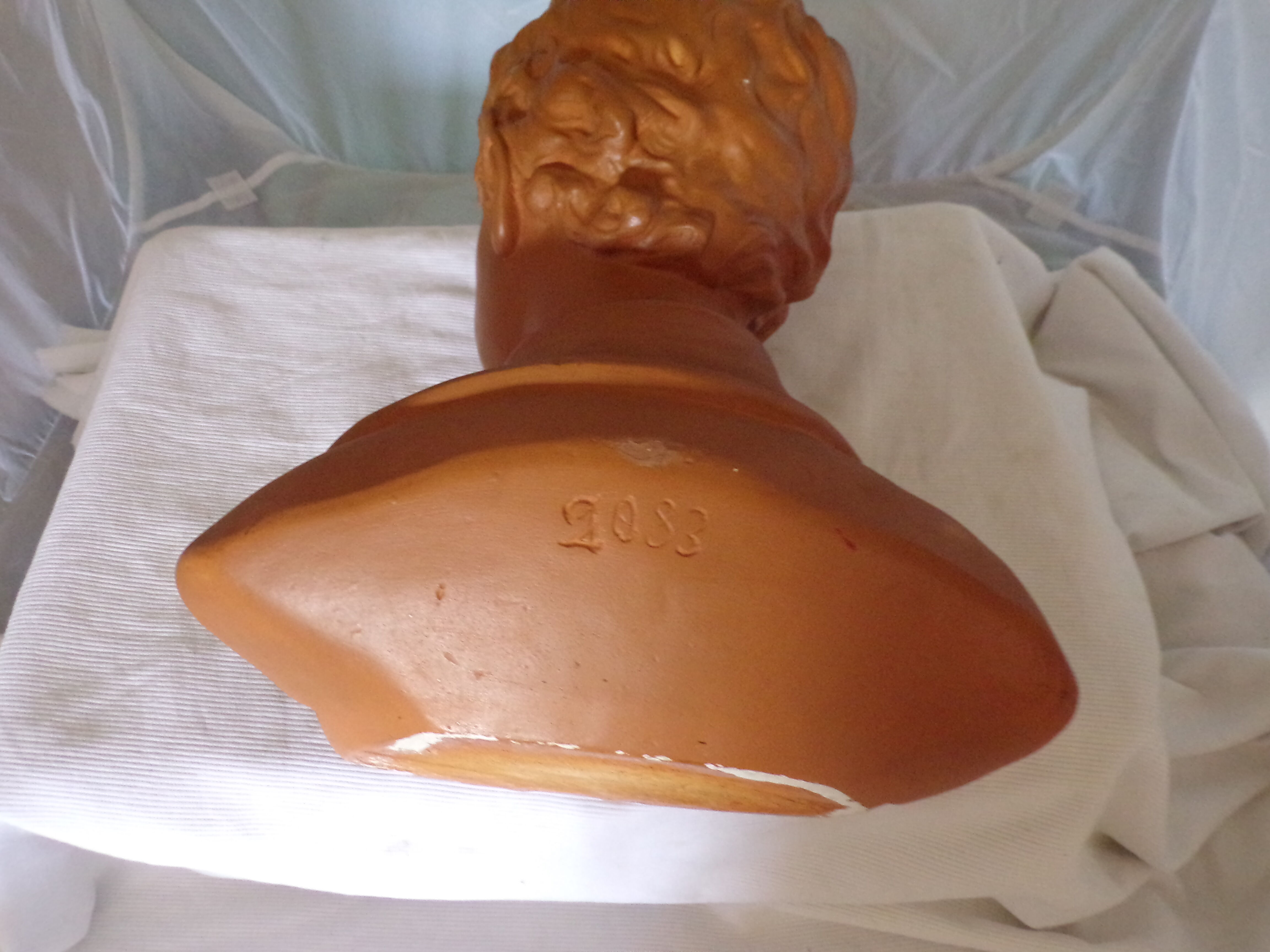 Bust of a young man in plaster