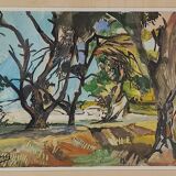 Landscape