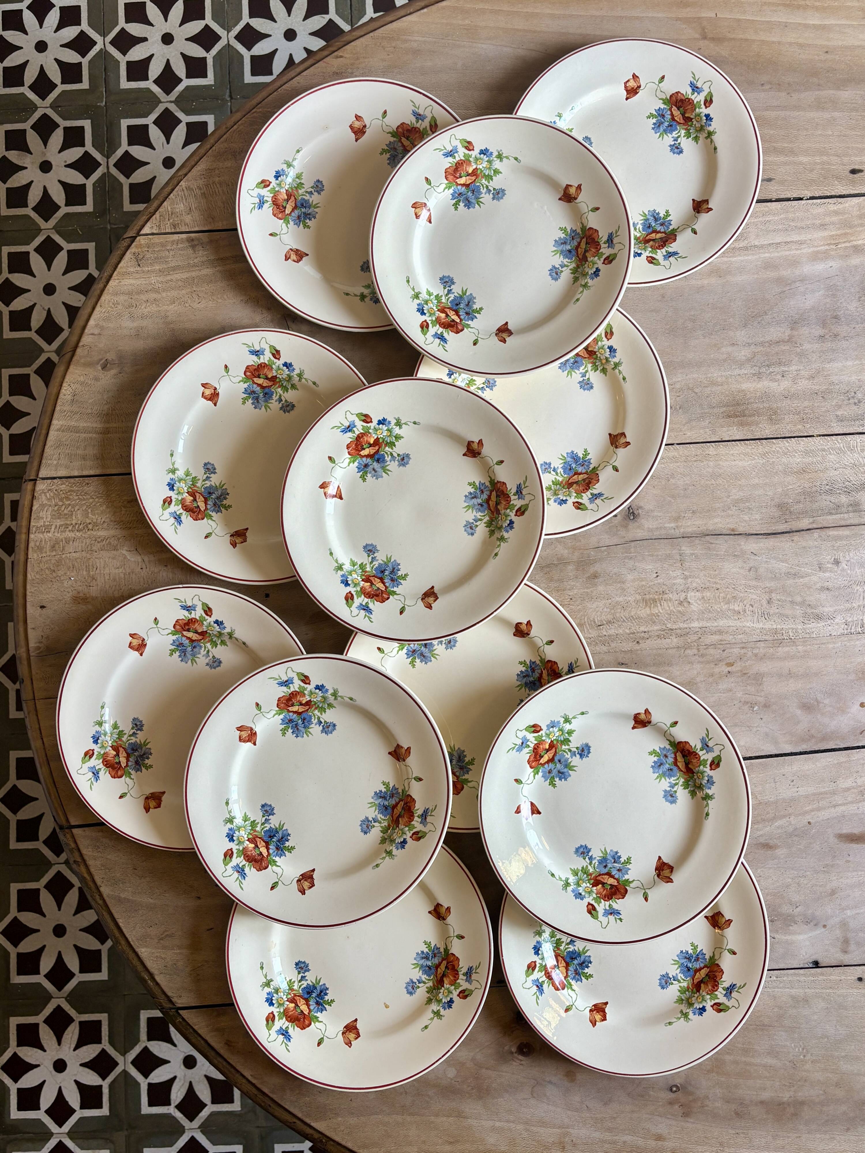 Set of 12 old flat plates with flower decorations - Salins