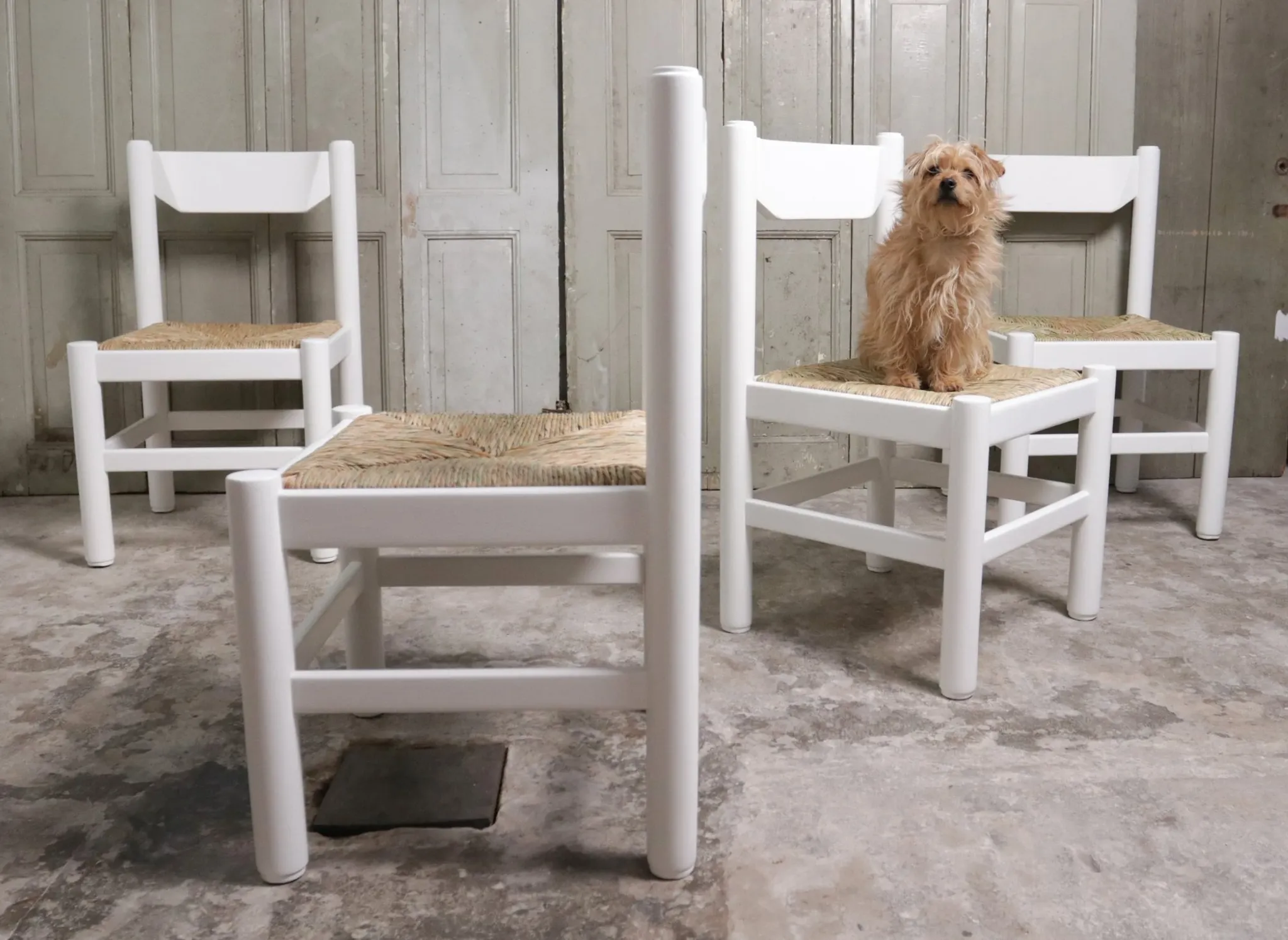 Set of 4 white rush dining chairs – Magistretti / Perriand style, 1970s