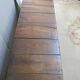 Chest in chestnut tree