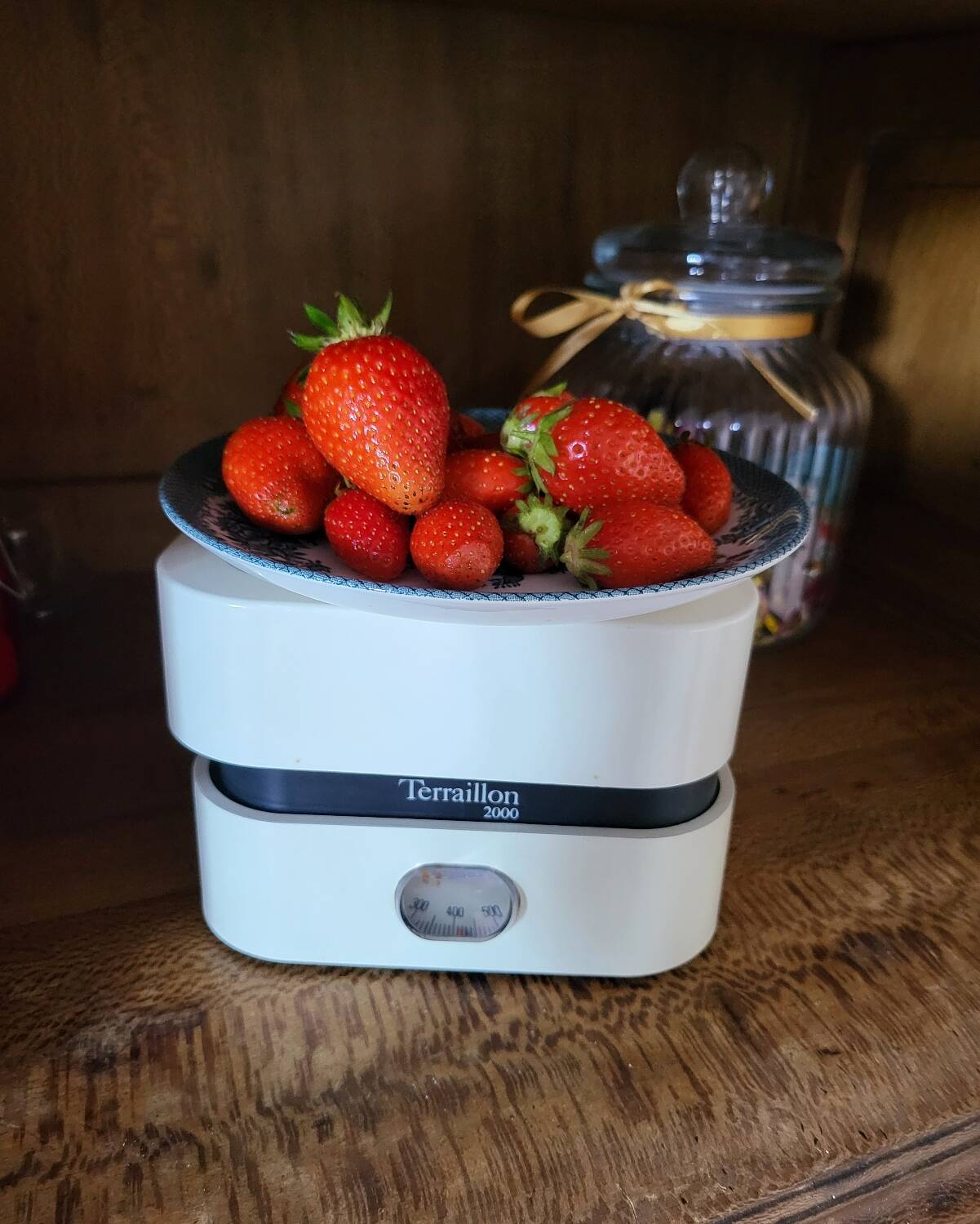 Terraillon 2000 Vintage White Kitchen Scale