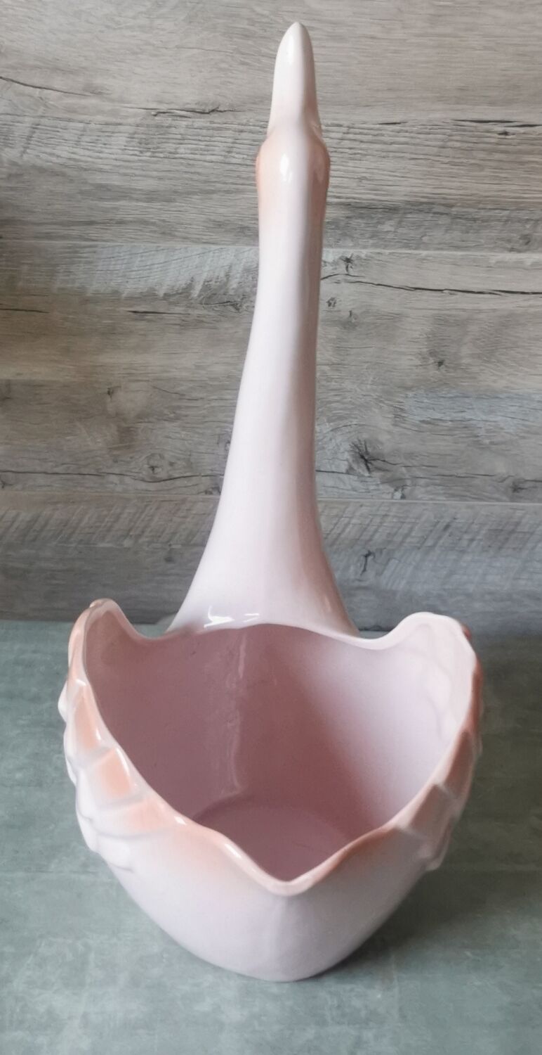 Swan Rigon Roberto Italy