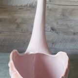 Swan Rigon Roberto Italy