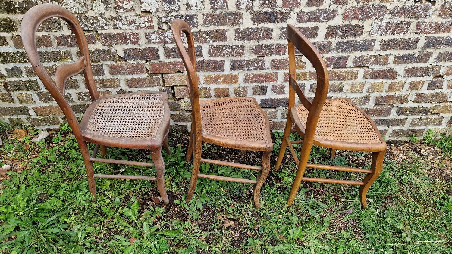 Set of 3 cane chairs