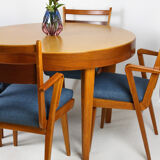 Ash & walnut dining chairs from Jitona Sobeslav, 1950