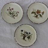 Set of wooden floral coasters