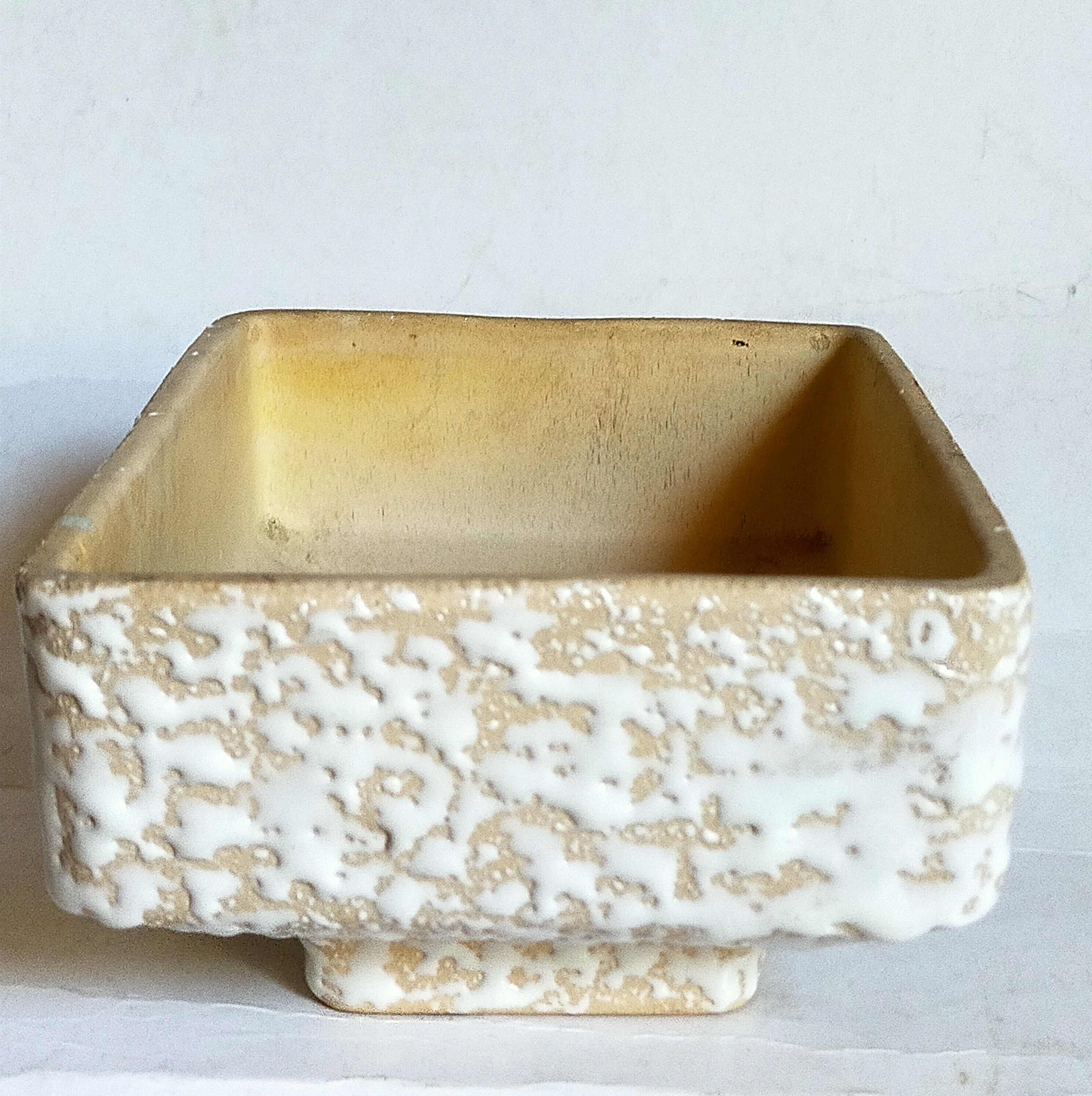 Ceramic cactus pot veter, west-germany model n° 64 with white foam