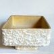 Ceramic cactus pot veter, west-germany model n° 64 with white foam