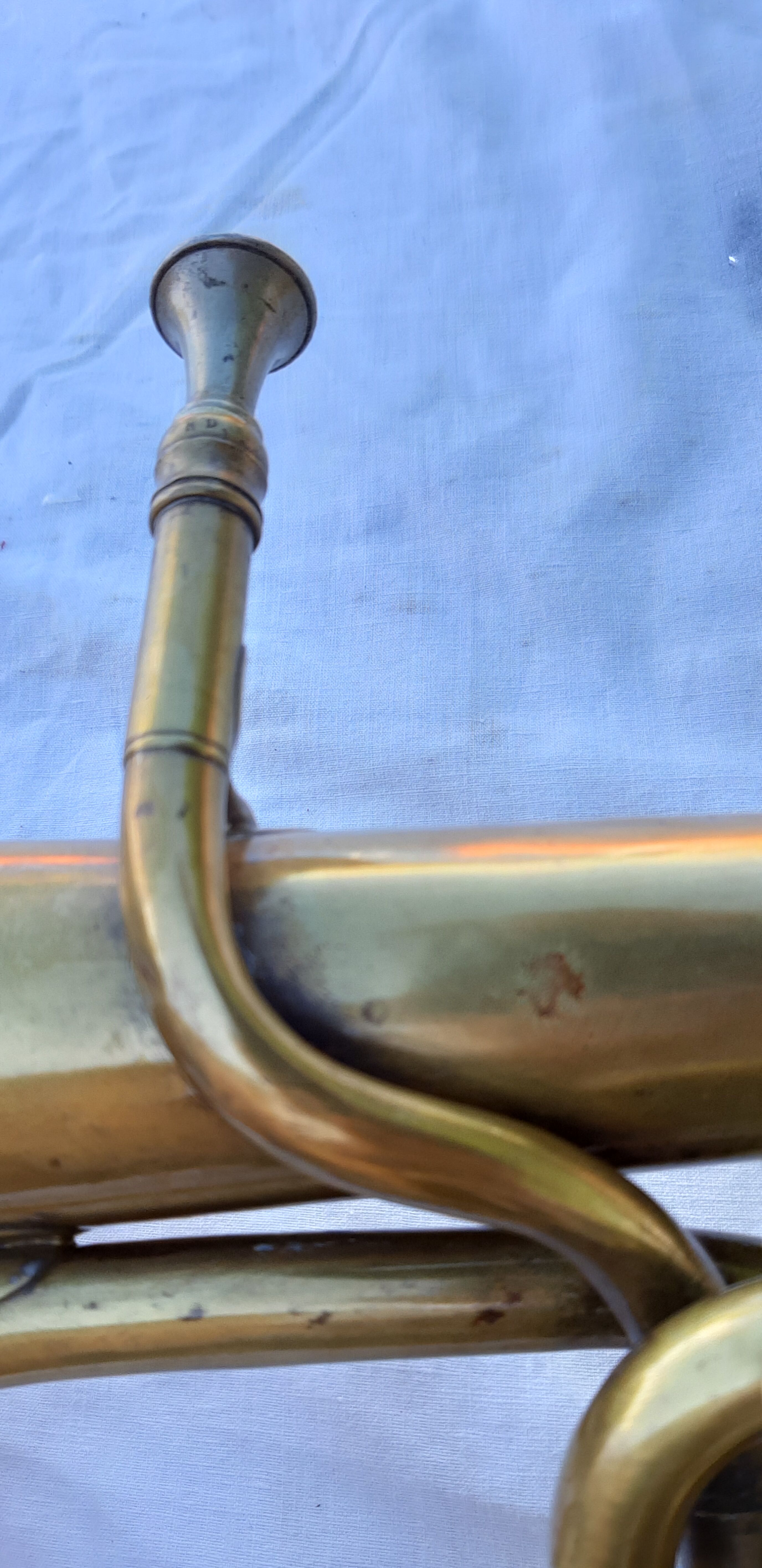 Trumpet cornet ancient margaritas