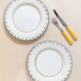 Set of 4 hand-painted ceramic dinner plates