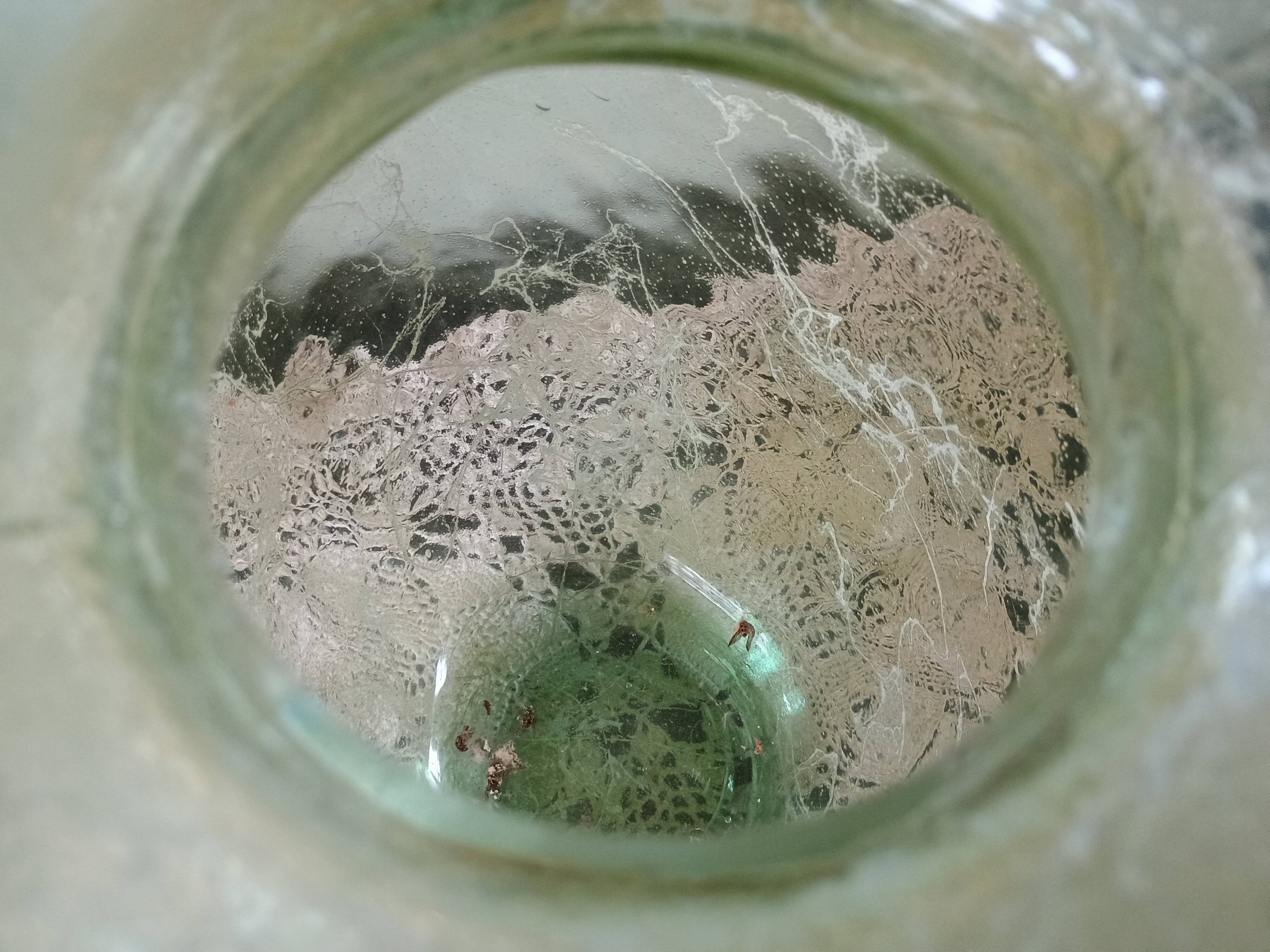 Large heart-shaped vase - glass & resin ribbed applications