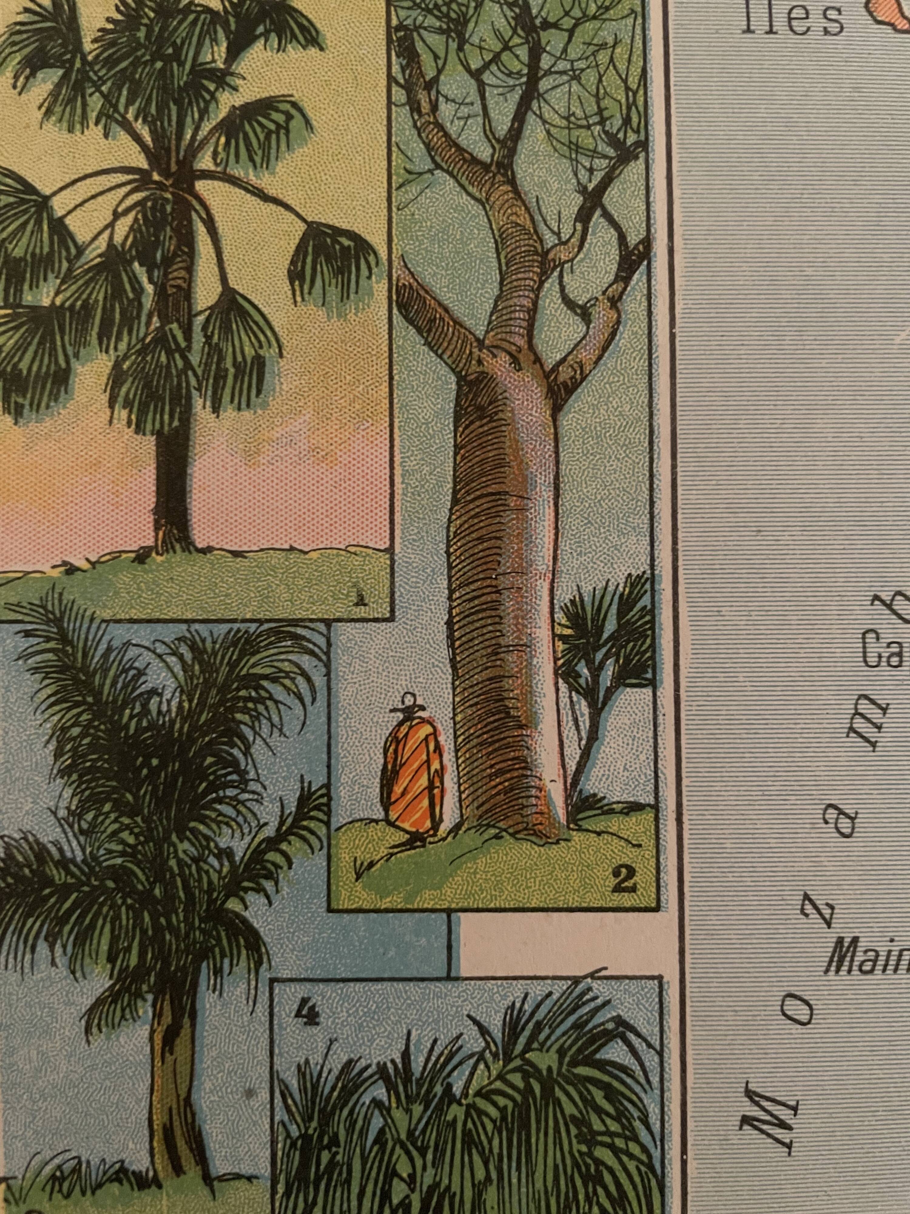 Old poster map of Madagascar - 1931