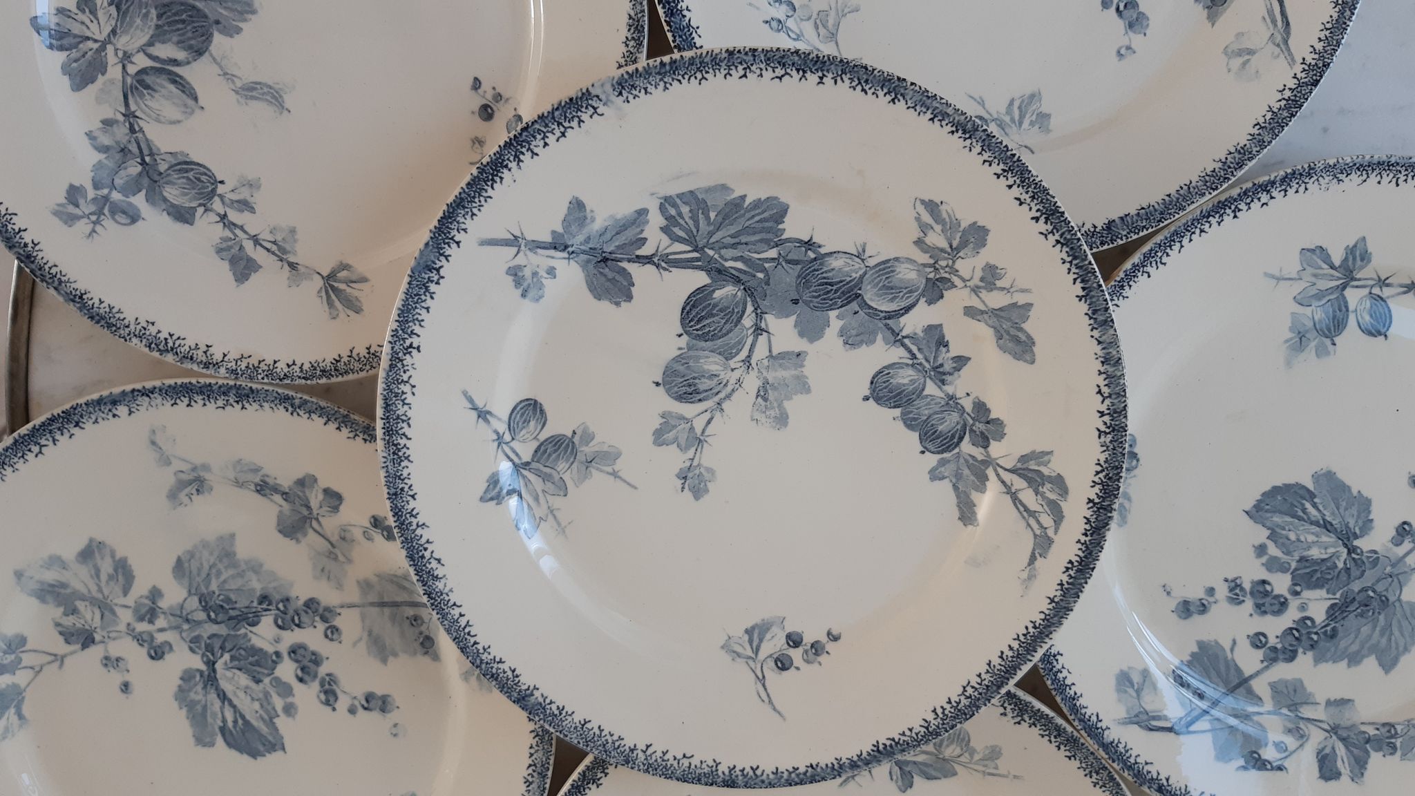 Set of 6 flat plates Terre de Fer U&C Sarreguemines model "Groseilles" late nineteenth