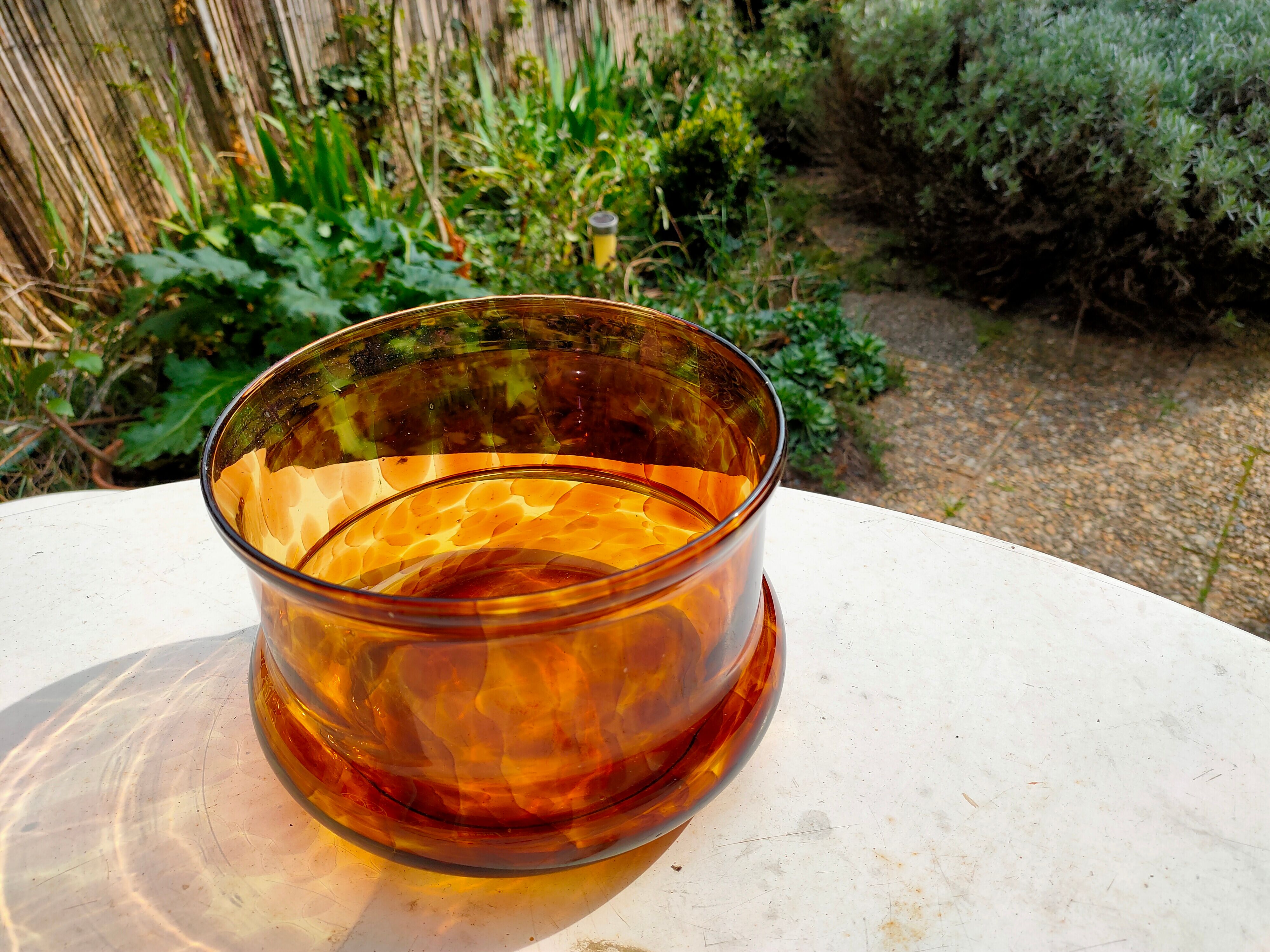 Glass dish tortoiseshells