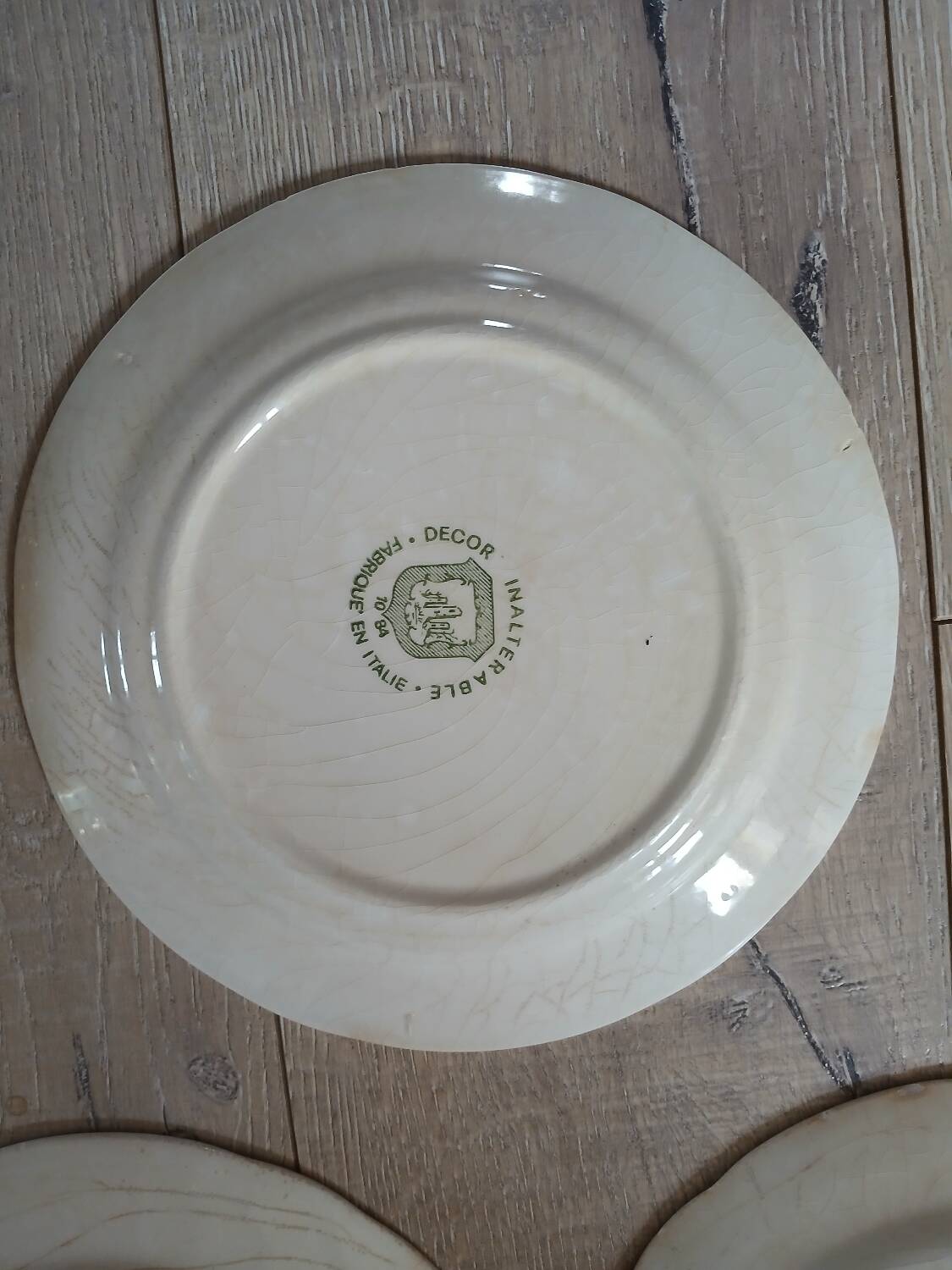 10 antique dinner plates