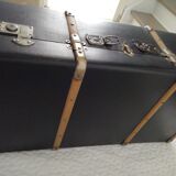 Trunk