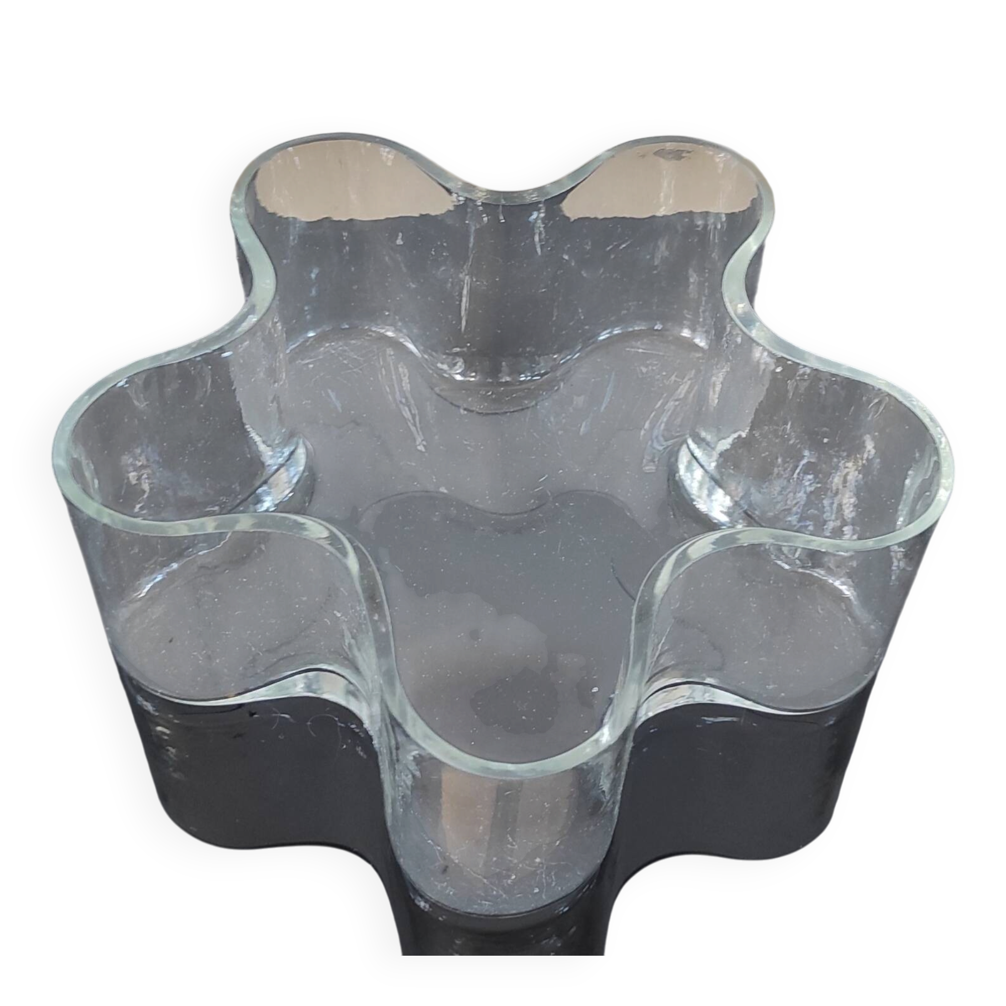 Grand vide-poche organique en verre transparent