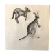 Drawing Kangaroos
