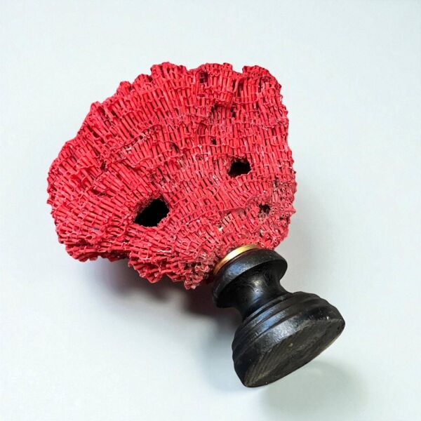 Ancien corail rouge orgue Tubipora musica sur socle en bois fin XIXe