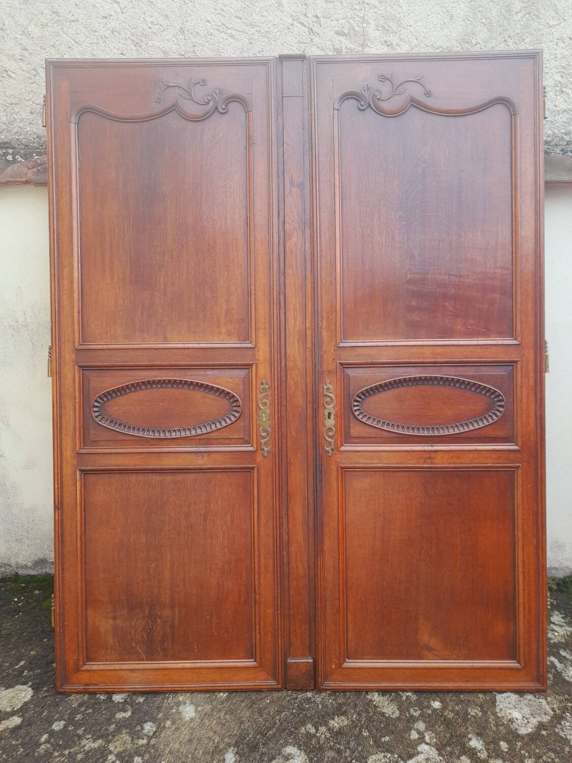 Pair of carved oak cabinet doors