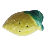 Lemon slurry salt shaker