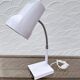 Etienne Fermigier desk lamp