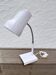 Etienne Fermigier desk lamp