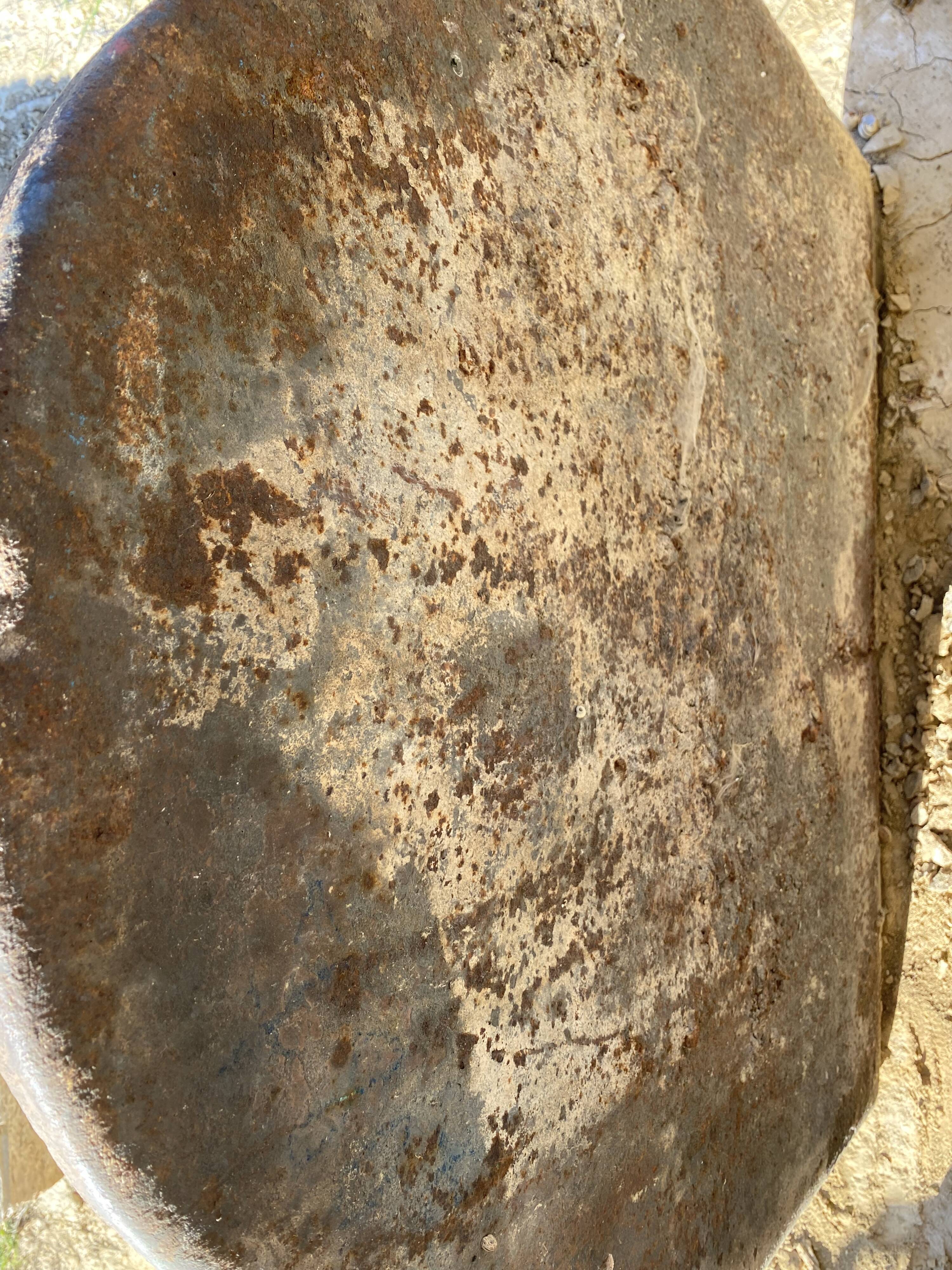 Castle unicorn fireplace plate