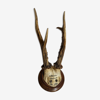 Ancient scandinavian hunting trophy