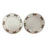 Paire d’anciennes assiettes nymphéa terre de fer