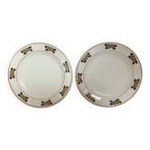 Pair of old nymphéa ironstone plates.