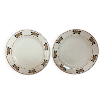 Pair of old iron earth water lily plates