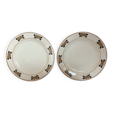 Paire d’anciennes assiettes nymphéa terre de fer