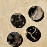 Set of 4 fossilized wooden coasters
