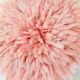 Pink Jujuhat 50 cm