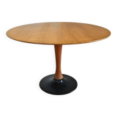 Drevotvar Coffee Table, 1960s Vintage, Retro
