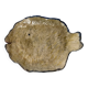 Petit plat poisson artisanal