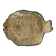 Petit plat poisson artisanal